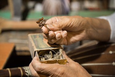 Similar image 21163530