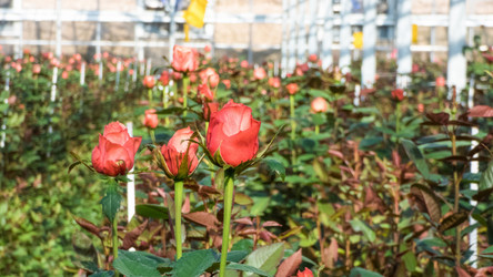 Similar image 21163041