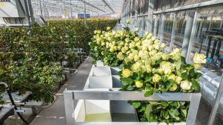 Similar image 21163043