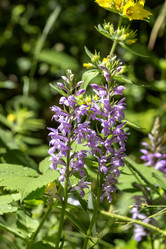 Similar image 21135756