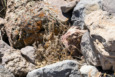 Similar image 21140643