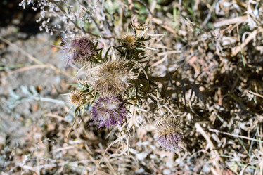 Similar image 21140649