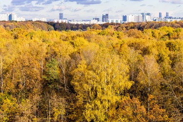 Similar image 21156493