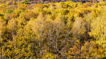 Similar image 21156494