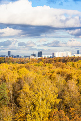 Similar image 21156499