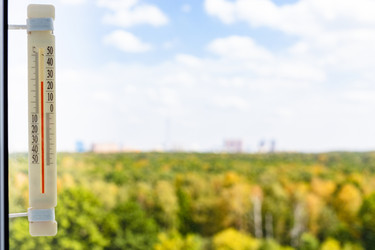 Similar image 21156506