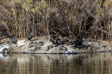 Similar image 21140650