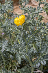 Similar image 21140651