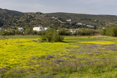 Similar image 21140652