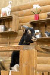 Similar image 21154898