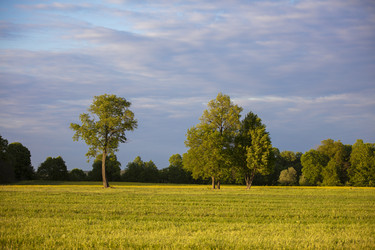 Similar image 21144881