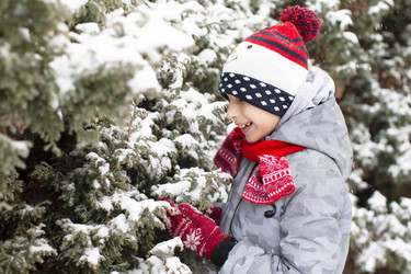 Similar image 21144892