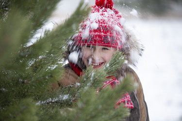 Similar image 21144919