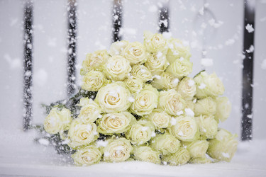 Similar image 21144936