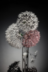 Similar image 21168177