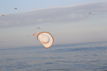 Similar image 21144285