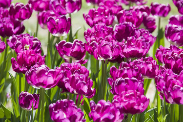 Similar image 21145122