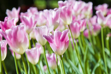 Similar image 21145126