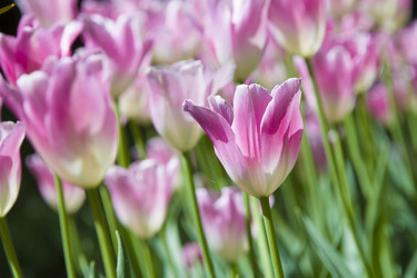 Similar image 21145127