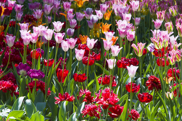 Similar image 21145136