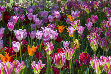 Similar image 21145137