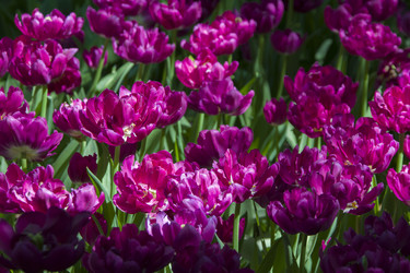 Similar image 21145139