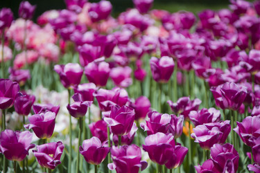 Similar image 21145149