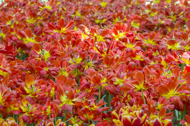 Similar image 21145160