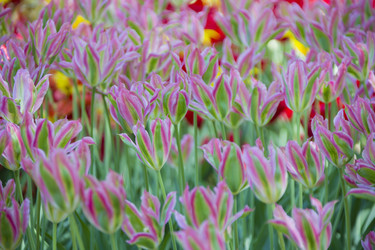 Similar image 21145162