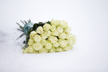 Similar image 21145165