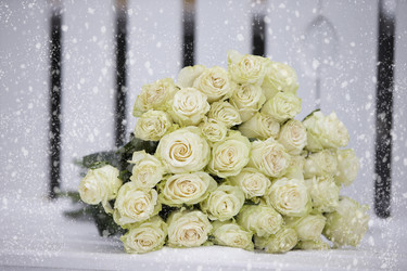 Similar image 21145179