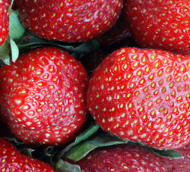 Similar image 21141055