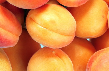 Similar image 21137443