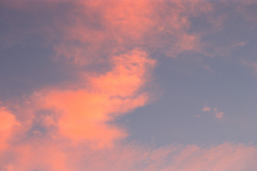 Similar image 21137445