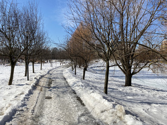 Similar image 21141061