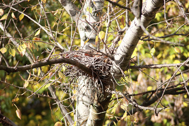 Similar image 21141062