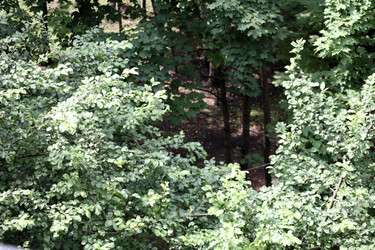 Similar image 21141074