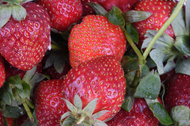 Similar image 21140700