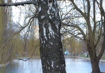 Similar image 21141084