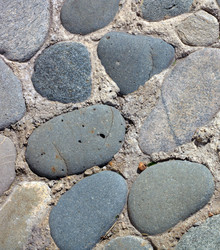 Similar image 21141088