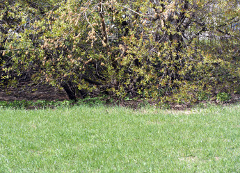 Similar image 21141094