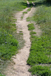 Similar image 21137151