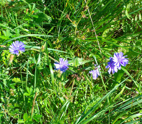 Similar image 21137154