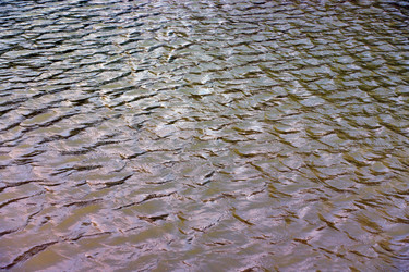 Similar image 21137463