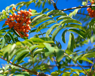 Similar image 21137469