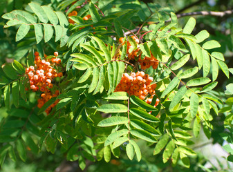 Similar image 21137472