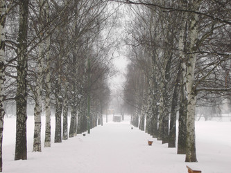 Similar image 21137490