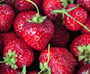 Similar image 21140291