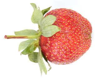 Similar image 21140292