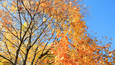 Similar image 21140294